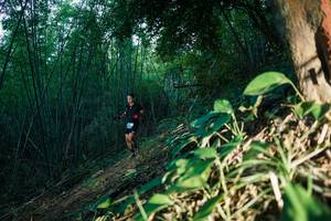 BIB: 
                            <button type="button" onclick="openModal(28123519)" class="btn btn-primary btn-sm float-right btn-popup" data-toggle="modal" data-target=".modal-high-quality">
                        <i class="fas fa-shopping-cart"></i> Add to Cart
                    </button>
                                            <button type="button" onclick="isThisMe(28123519, true)" class="btn btn-success btn-sm float-right btn-popup btn-isme hidden" data-toggle="tooltip" data-placement="bottom" title="นี่คือรูปของคุณใช่ไหม คลิกที่นี่เพื่อเอาเข้าอัลบั้ม">
                        <i class="fas fa-plus"></i> Add to album
                    </button>
                    <button type="button" onclick="isThisMe(28123519, false)" class="btn btn-warning btn-sm float-right btn-popup btn-isnotme hidden">
                        <i class="fas fa-ban"></i> Remove from album
                    </button>